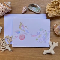 Greeting Card “Shells”