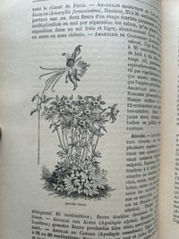 Image 14 of Le jardin d’agrément, L-J.Troncet, édition Larousse, 1908