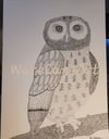 Owl on Branch - paper