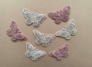 Image of butterflies