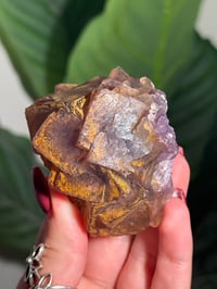 Image 2 of IRON STAINED CUBIC FLUORITE -CHINA- S