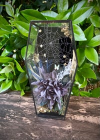 Image 2 of Undead Terrarium: The Silent Shriek 