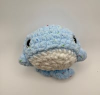 Image 1 of Finfetti the Whale