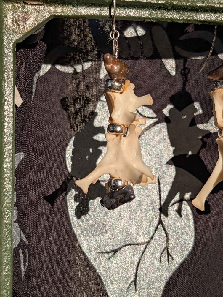 Image of rabbit vertebrae earrings