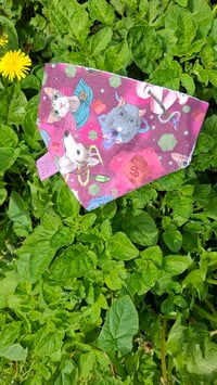 Image 1 of Familiars | Pet Bandana