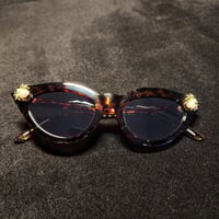 Image 6 of Pearl spider 