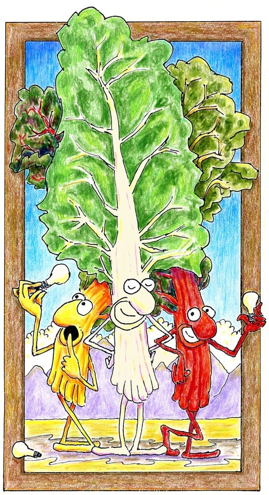 Image of "The Chard of the Light Brigade"