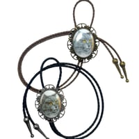 Image 1 of Grey Longhair Cat Bolo Tie 