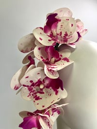 Image 3 of Pink & white orchids