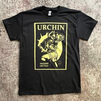 Image 2 of Urchin 