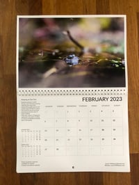 Image 4 of Tom's 2023 Wildlife Calendar 