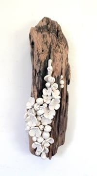 Image 1 of Black & Tan Bouquet- Cara O'Brien