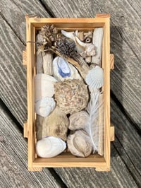 Image 1 of Beach Box #4