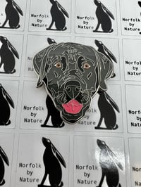 Image 13 of Norfolk Wildlife Magnets - Choose a species: