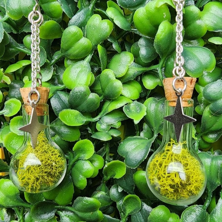 Image of mossy potion bottle earrings