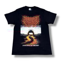 Image 2 of DESECRATED EXTINCTION - Putrid Cerebellum Engulfment
