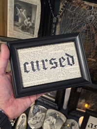 Image 2 of "Cursed" 1800's bible page with preserved spider web  