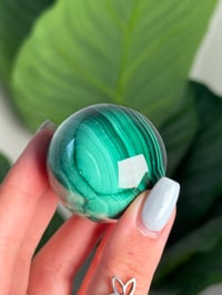 Image 4 of HIGH QUALITY MALACHITE SPHERE E