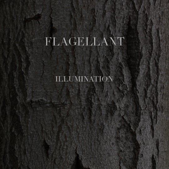 Image of Flagellant - Illumination 7"