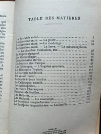 Image 12 of La vie des insectes de J-H. Fabre, 1935!
