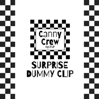 Image 1 of DUMMY CLIP: Surprise 