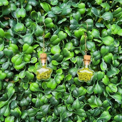 Image of mossy star jar earrings