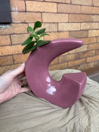 Image 2 of Jade Plant in Purple Geometric Pot