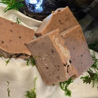 Image 4 of Moringa