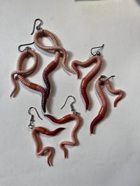 Image 1 of Regular Earrings