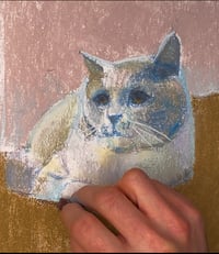 Image of CATS Double drawing workshop