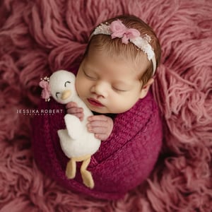 Image of Ducky lovey 