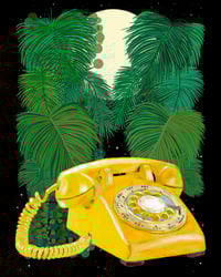 Image 1 of JUNE DREAMS + LandLine