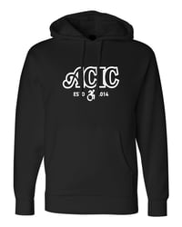 ACIC 2014 HOODIE