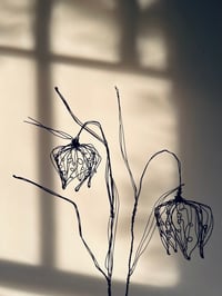 Image 3 of wire fritillary flower