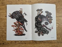 Image 4 of Fungi Vol. 8 