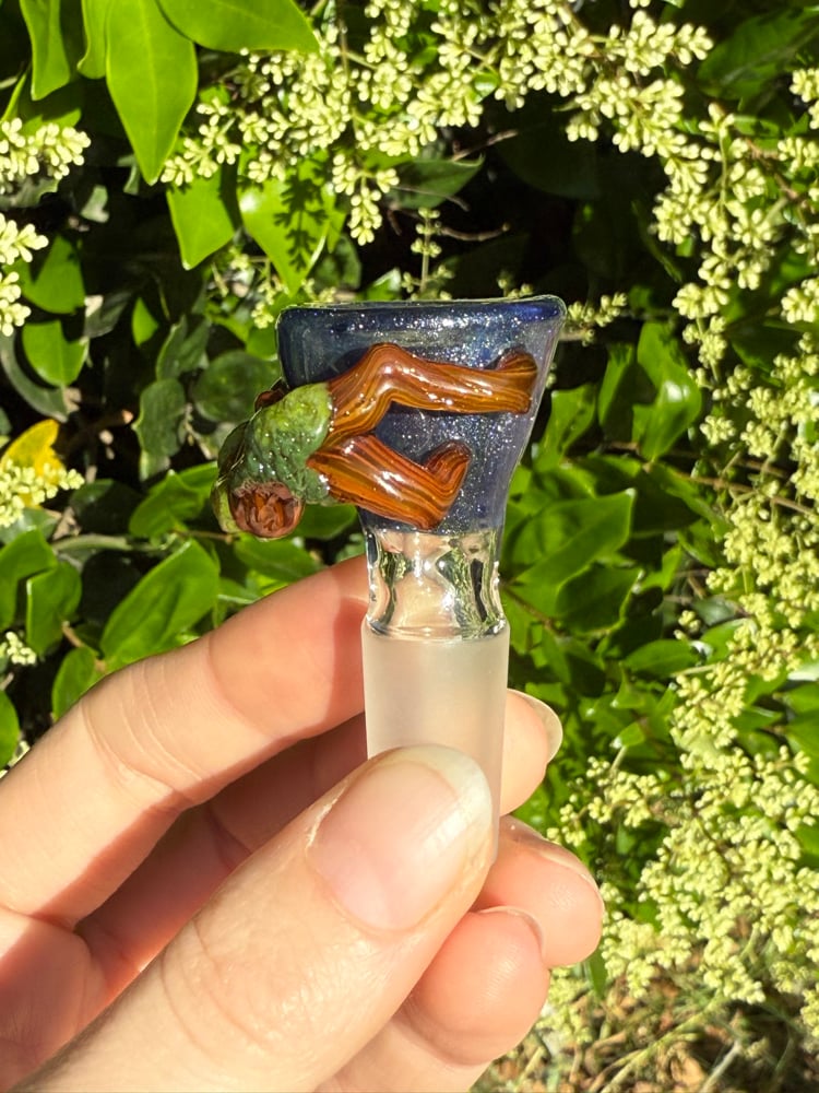 Image of Fantasy Forest 14 mm Slide  #5