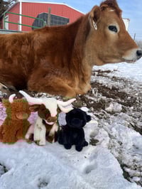 Image 2 of plushies