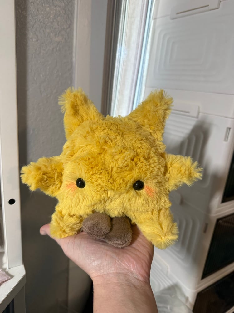 Image of Leggy sun PREORDER