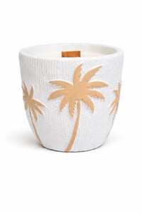 Coastal Palm soy candle