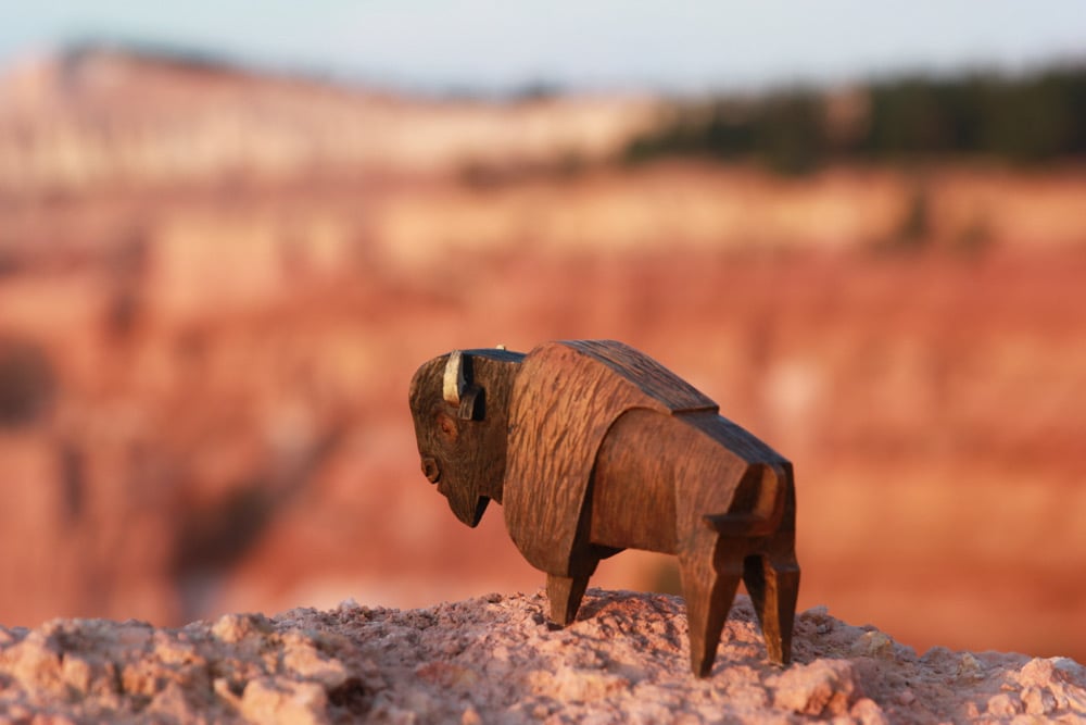 Image of NEW Whittle Bison