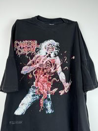 Image 3 of 1992 Cannibal Corpse Eaten Back to Life 