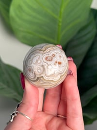 Image 6 of MEXICAN LACE AGATE SPHERE C
