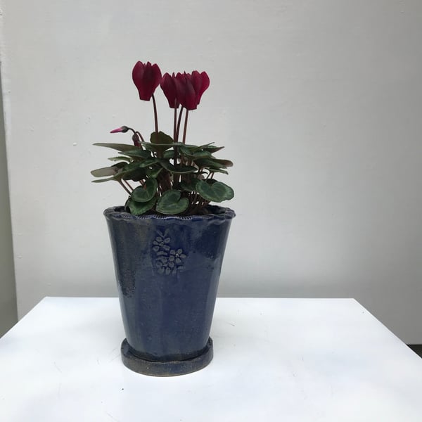 Image of Emily plant pot