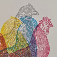 Image 4 of Cluck Cluck, 2nd edition / greeting card