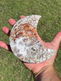 Image 1 of Mexican Lace Agate Crystal Moon Carving #2915