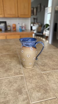 Image 6 of Pitcher 04