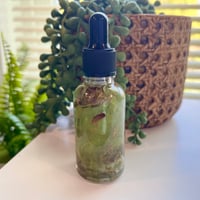 Metamorphosis | Growth + Transformation Oil