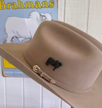 Brahman Hat Pins