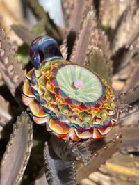 Image 9 of galactic dahlia 