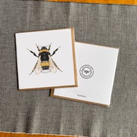 Image 5 of Greeting Card (various Designs) 6x6